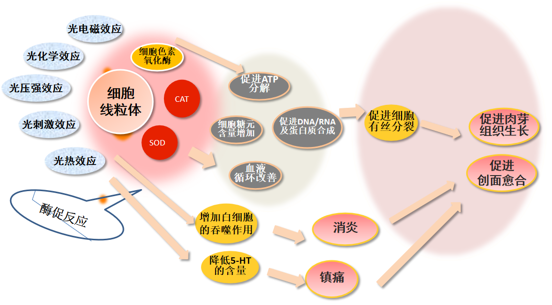 a32233999cff155f744103fc93a931bd.png a32233999cff155f744103fc93a931bd.png